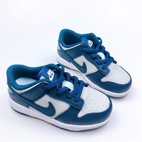 kid dunk shoes 2023-11-4-129
